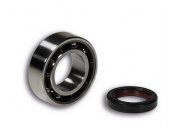 Lager Kurbelwelle LIMA fr Vespa 50 1/S 1/90/R/SS...