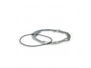 Dichtsatz MALOSSI fr 210 MHR /Sport fr Art-Nr. 3116349,...
