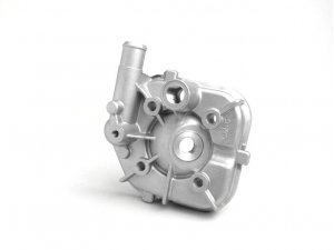 Zylinderkopf -OEM QUALITT 50 ccm- Peugeot LC (vertikal) - SPEEDFIGHT1 50 cc LC, SPEEDFIGHT2 50 cc LC, XFIGHT 50