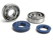 Lagersatz - Wellendichtringsatz fr Kurbelwelle -CIF (SKF...