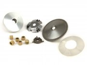 Variomatik -OEM QUALITT- GY6 (4-Takt) 50 ccm (Typ 139QMA/B)