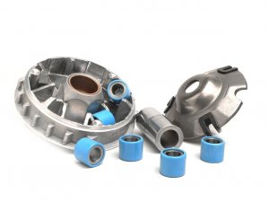 Variomatik -RMS- Piaggio 180 ccm LC 2-Takt (Gewichte 20x17mm)