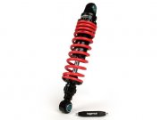 Stodmpfer hinten -BGM PRO R12 V2 Black Edition,...