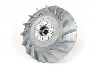Polrad -BGM Pro Elektronik 2000g- Vespa PX (ohne...
