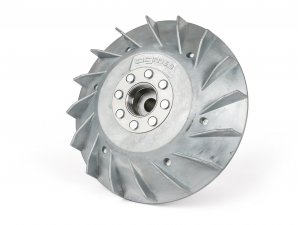 Polrad -BGM Pro Elektronik 2000g- Vespa Sprint150...