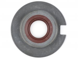Wellendichtring SB 20x40/60x7mm -BGM PRO FKM/Viton® (E10...
