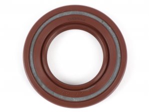 Wellendichtring 27x47x6mm -BGM PRO FKM/Viton® (E10...