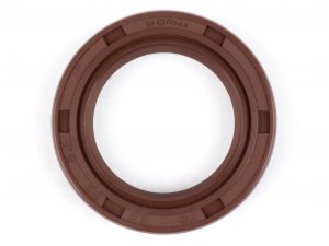 Wellendichtring 22x32x5,5mm -BGM PRO FKM/Viton® (E10...