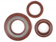 Wellendichtringsatz -BGM PRO, FKM/Viton (E10 bestndig)-...