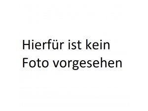Flyer SIP Newsflash 01/2020 für LAMBRETTA deutsch