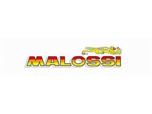 Dichtung Ansaugkrümmer MALOSSI für VR- One Gehäuse 2T...