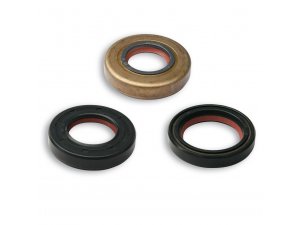 Wellendichtring MALOSSI FKM/PTFE für REVISIONE...