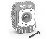 Zylinderkopf MALOSSI fr PIAGGIO/ITALJET Italjet Pack/...