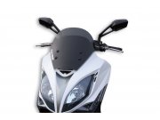 Windschild MALOSSI Sport Screen - getnt - L.440xH.380...