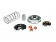 Variator MALOSSI Multivar 2000,  fr HONDA 110 Lead i.e.,...