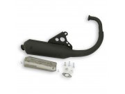 Rennauspuff WILD LION PISTA