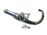 Rennauspuff MALOSSI Art of Performance,  fr HONDA...