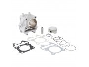 Rennzylinder MALOSSI 170 ccm  fr HONDA 125 Forza ABS...