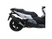 Rennauspuff MALOSSI Wild Lion,  fr BMW C 650 Sport 16->...