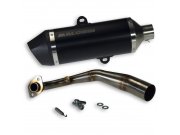 Rennauspuff MALOSSI RX, Black Edition, fr KAWASAKI 125 J...
