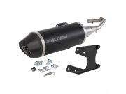 Rennauspuff MALOSSI RX, Black Edition, fr Vespa...