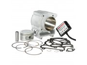 Rennzylinder MALOSSI 170 ccm  fr HONDA 125 Forza ABS...