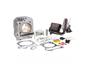 Rennzylinder MALOSSI 185 ccm  fr Vespa Primavera/Sprint /Liberty 3V iGet 125-150ccm  4T AC, 3-Ventil   63mm, Aluminium,  Hub 58,6mm,  inkl. Forcemaster 2 Einspritzmodul,  TUNING SPORT - leistungsstark