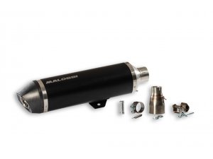 Rennauspuff MALOSSI Maxi Wild Lion, für PIAGGIO MP3 500...