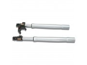 FORK SHAFT PAIR F38 R