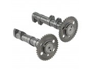 Nockenwelle MALOSSI fr YAMAHA  T-Max/T-Max Tech 560 ie...