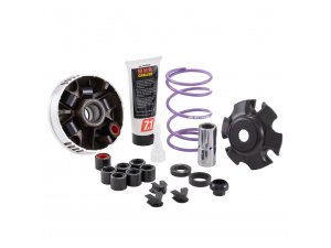 Variator MALOSSI MHR Multivar 2000 TEAM, fr APRILLIA/DERBI /GILERA/ITALJET/PIAGGIO /VESPA ET2/LX/PRIMAVERA/S /SPRINT  50ccm 2T AC/LC  19x15,5 mm, 6 Rollen, 3,5/3,8g,  Gleitbuchse =22mm, auch fr Overrange