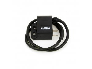 Elektronikzentrale PINASCO FLYTECH, 12V, Note 1 -...