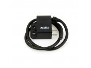 Elektronikzentrale PINASCO FLYTECH, 12V, Note 1 -...