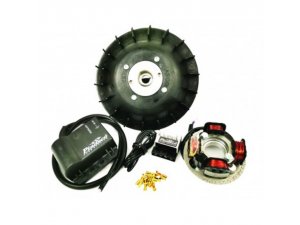 Zündung PINASCO FLYTECH 251, für Vespa 125 T5, Lüfterrad...
