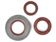 Wellendichtringsatz Motor -BGM PRO, FKM/Viton (E10...