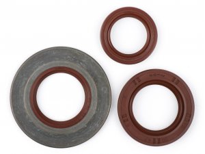 Wellendichtringsatz Motor -BGM PRO, FKM/Viton® (E10...