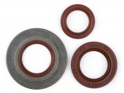 Wellendichtringsatz Motor -BGM PRO, FKM/Viton (E10...