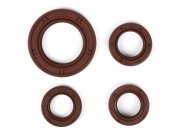 Wellendichtringsatz Motor -BGM PRO, FKM/Viton (E10...