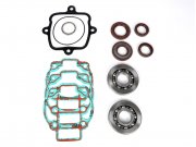Motorrevisions-Set -BGM PRO FKM/Viton (E10 bestndig)-...