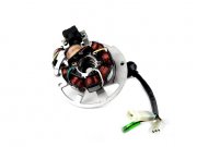 Zndung -BGM ORIGINAL Grundplatte- CPI 50 ccm (Euro 2, 6...