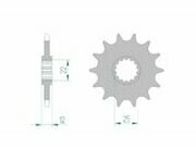 Ritzel Afam 13 Zhne GasGas EC / Rieju MR 250 / 300