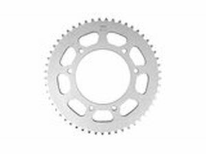 Kettenrad Stahl Derbi DRD Pro Afam 53 Zhne - 420