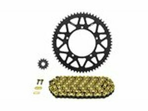 Kettensatz Sherco SM-R Afam 11x60 - 428...