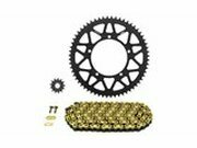 Kettensatz Sherco SM-R Afam 11x60 - 428...