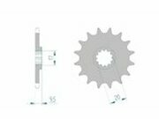 Ritzel Afam selbstreinigend 420 / 13 Zhne SX / TC 65