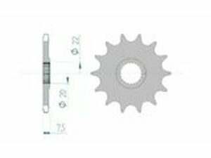 Ritzel Afam selbstreinigend 13 Zhne Honda CR 125 / CRF 250