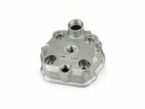 Zylinderkopf Airsal X-Treme 80cc Derbi Euro3