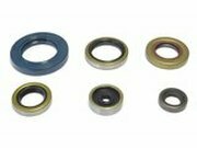 Satz Dichtringe Motor SX / TC / MC 65
