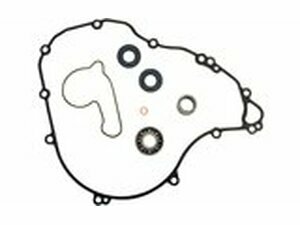 Dichtungssatz Wasserpumpe SX-F 250