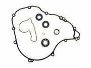 Dichtungssatz Wasserpumpe SX-F 250